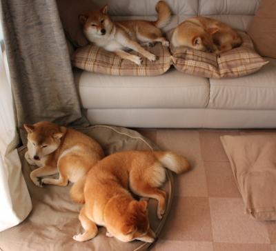 华体会登陆-_勇士三分长枪不断，稳扎稳打_，三分勇士是什么意思