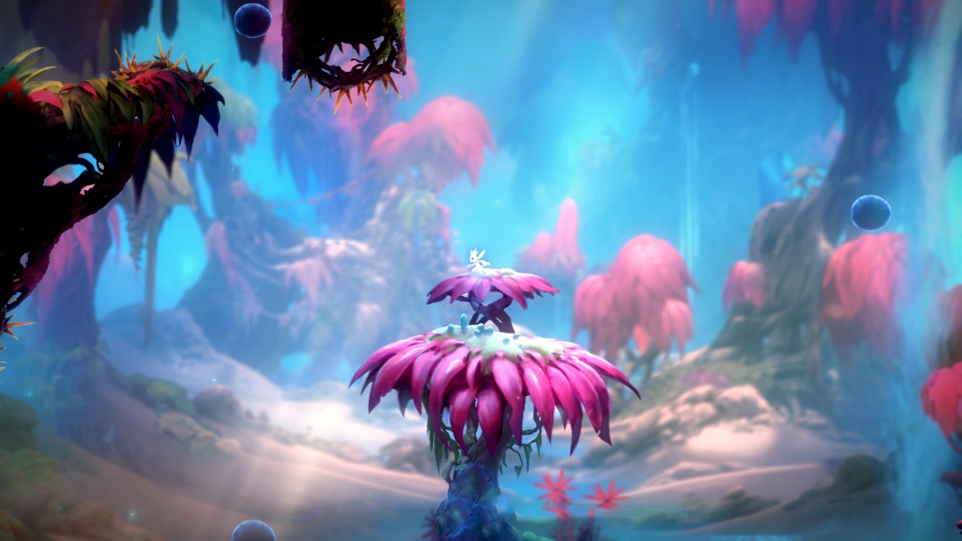 华体会hth官网-“全球大巡回：跨越五大洲的极限竞速”