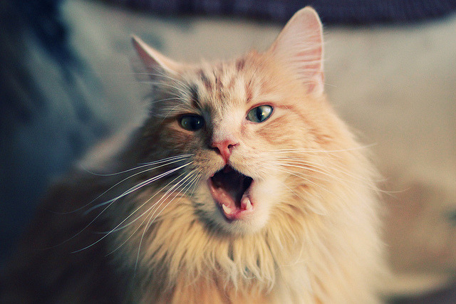 华体会hthapp注册-中国队在巴黎奥运会比赛中多次通过二次进攻得分，巴黎奥运会 中国