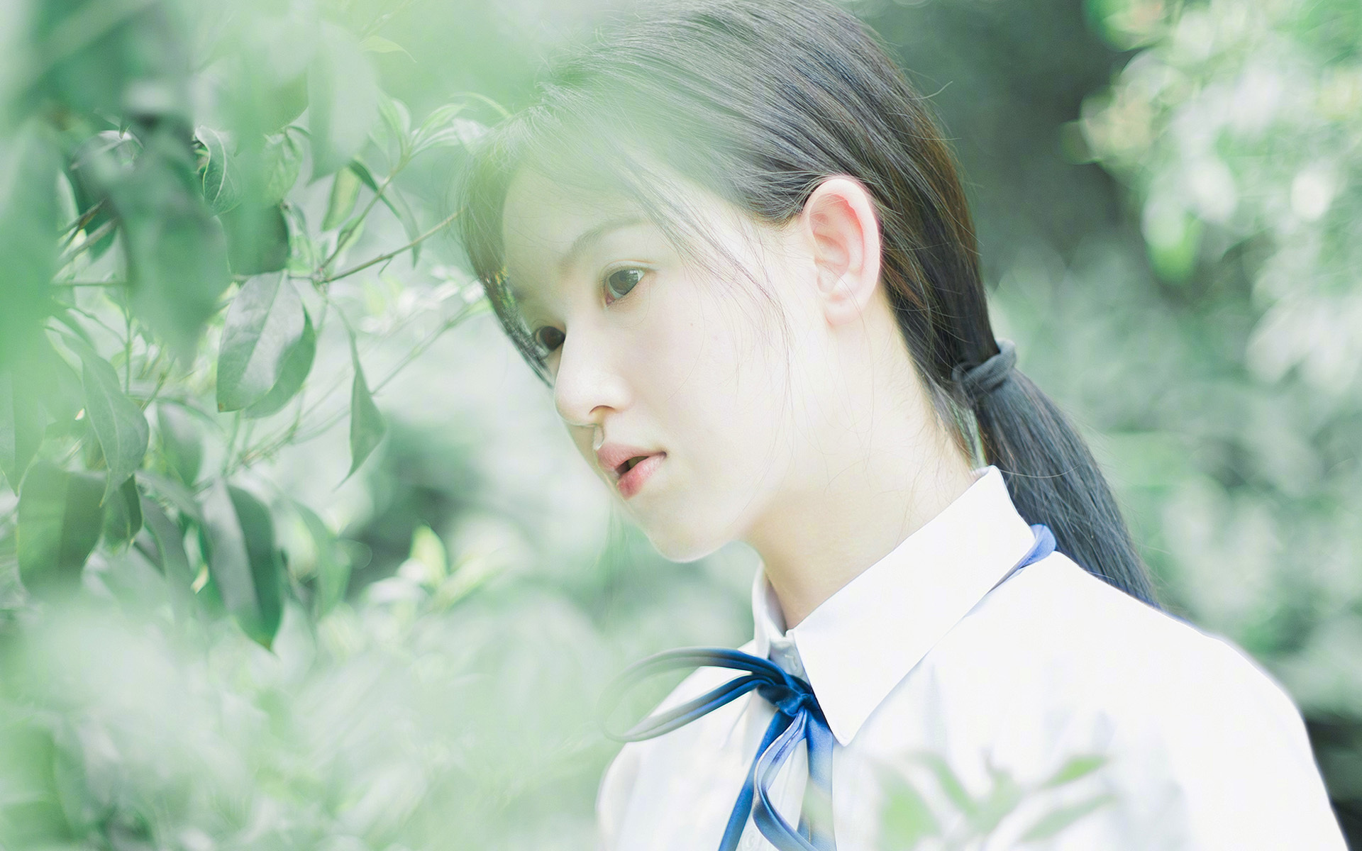 球队管理:如何打造冠军阵容,球队夺冠概率怎么算