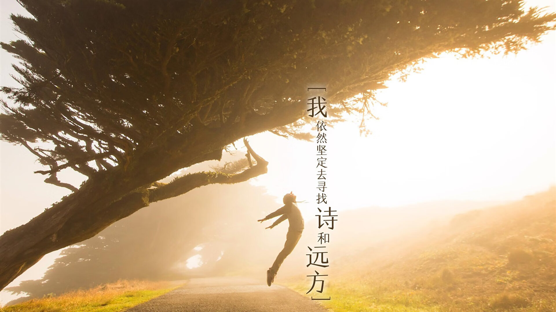 逆境中成长：球员在伤病康复期的励志故事，球员伤愈复出