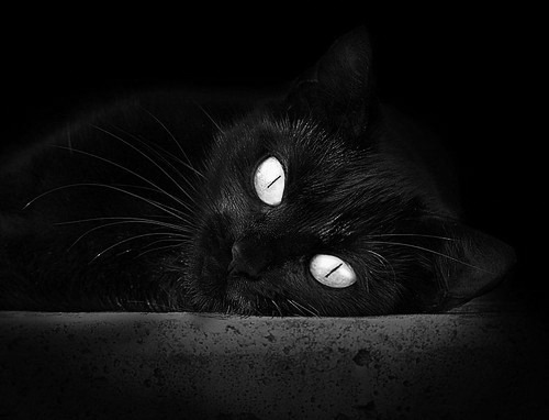 华体会hthapp下载入口-利雅得新月新赛季阵容公布，利雅得新月球衣