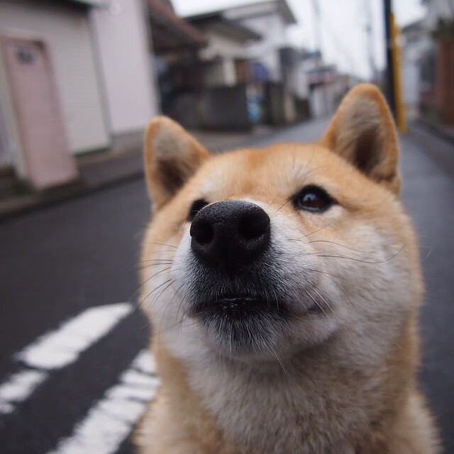 华体会官方网站-意大利足球比赛采取新的规则，得到球迷支持，意大利足球又变厉害了