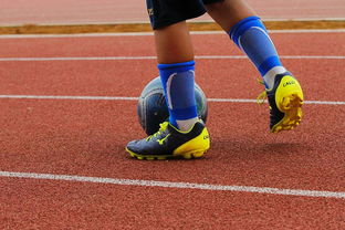 华体会手机网站-NBA球员训练营最新发展动态，nba球员日常训练项目