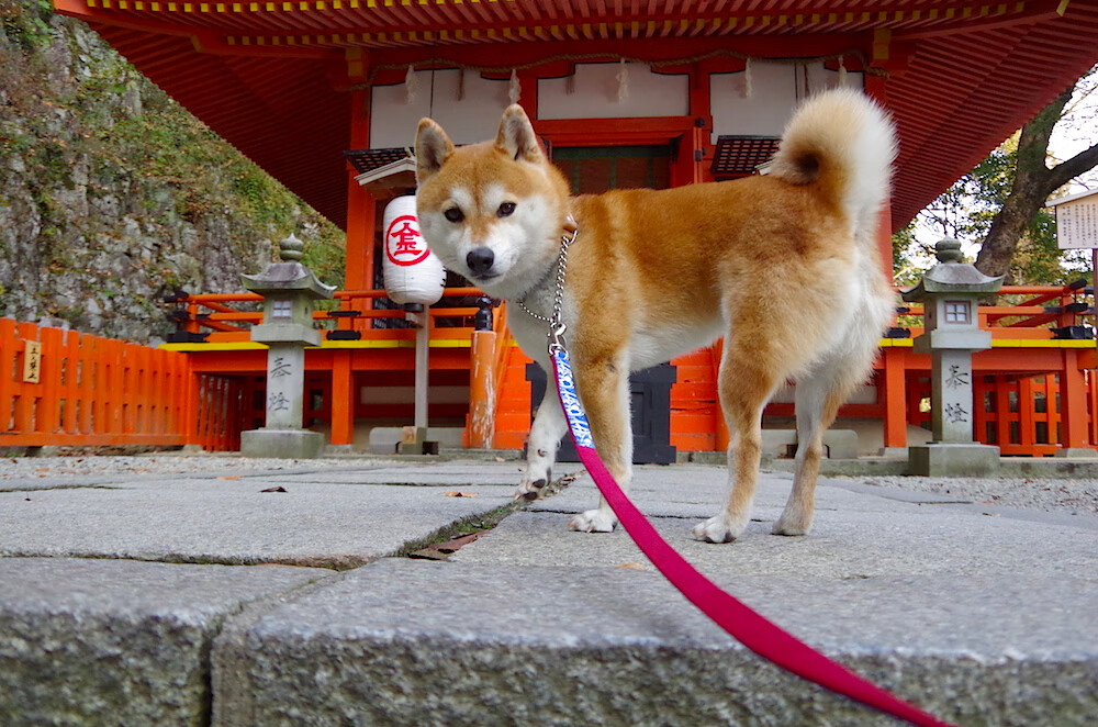 国际热身赛中国青年队战平 球迷期待未来突破,国际热身赛赛程