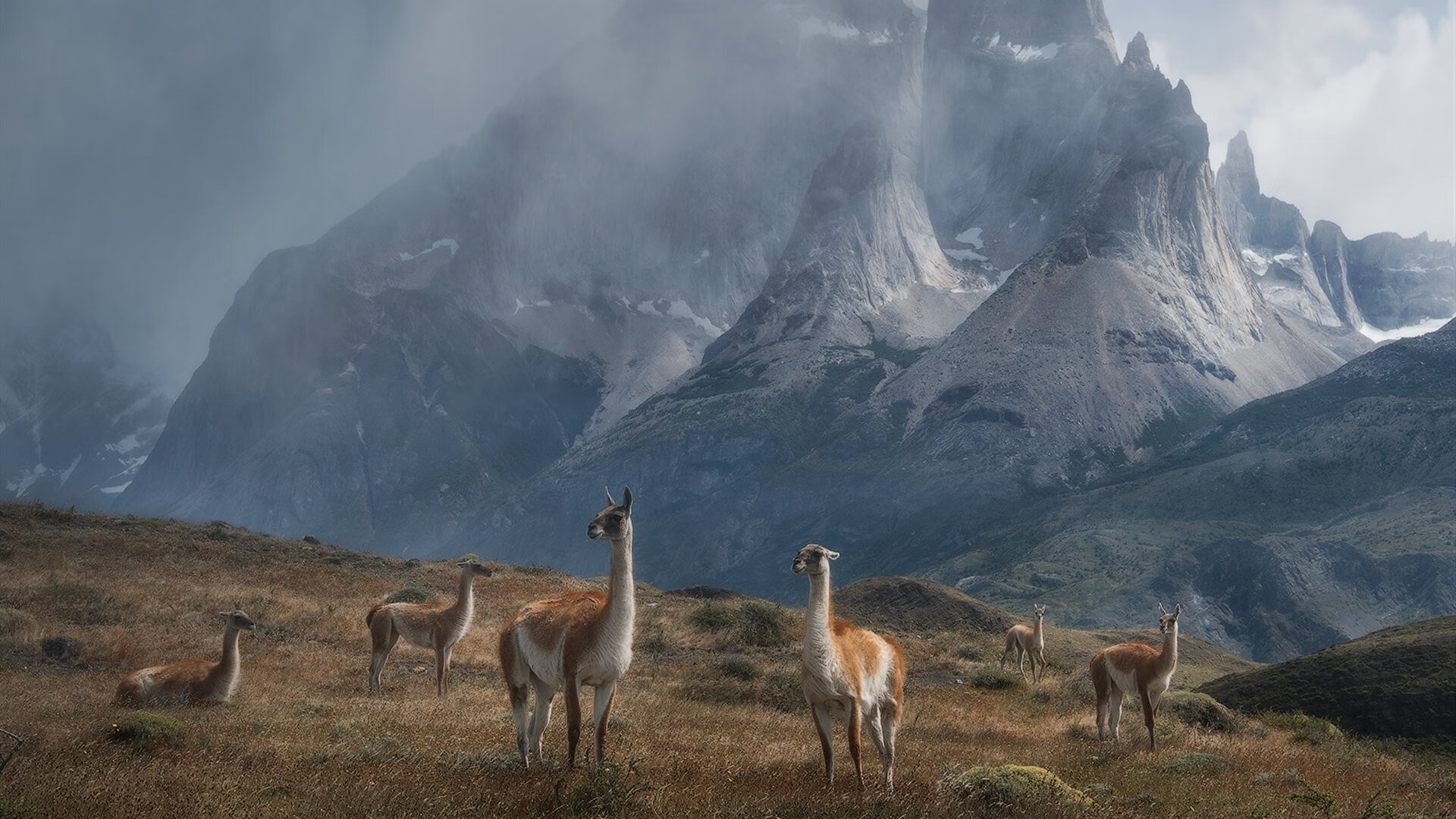 张雨霏强项出击 中国接力蝶泳段领先,张雨霏晋级蝶泳决赛