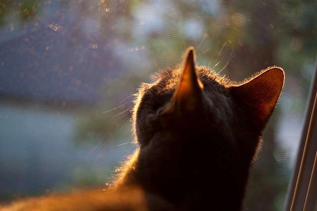以足球为主题的创意街区逐渐成型,打造特色旅游经济区,足球主题环创走廊