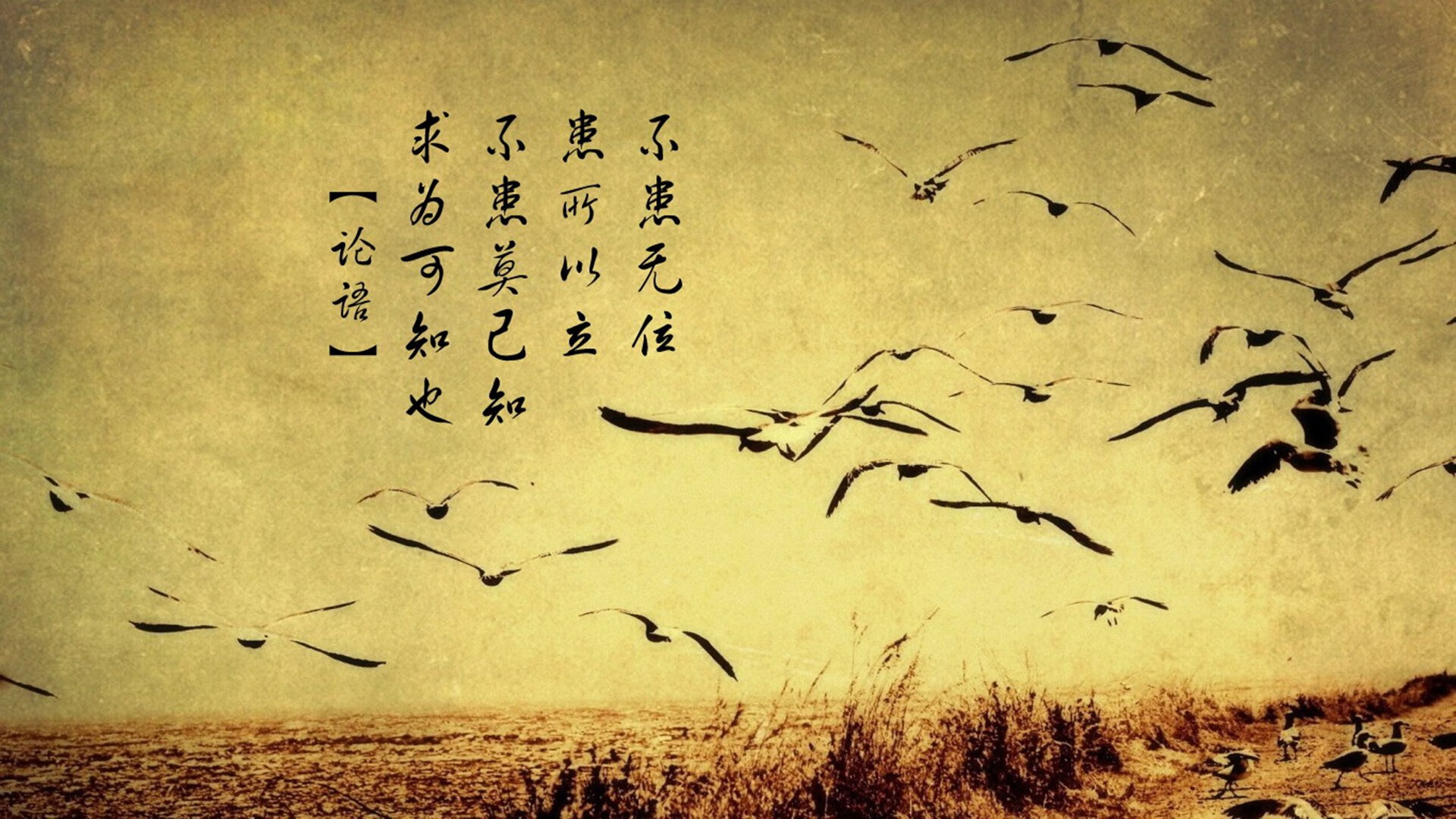 职业教练赴海外深造学习前沿训练理念带回创新方法